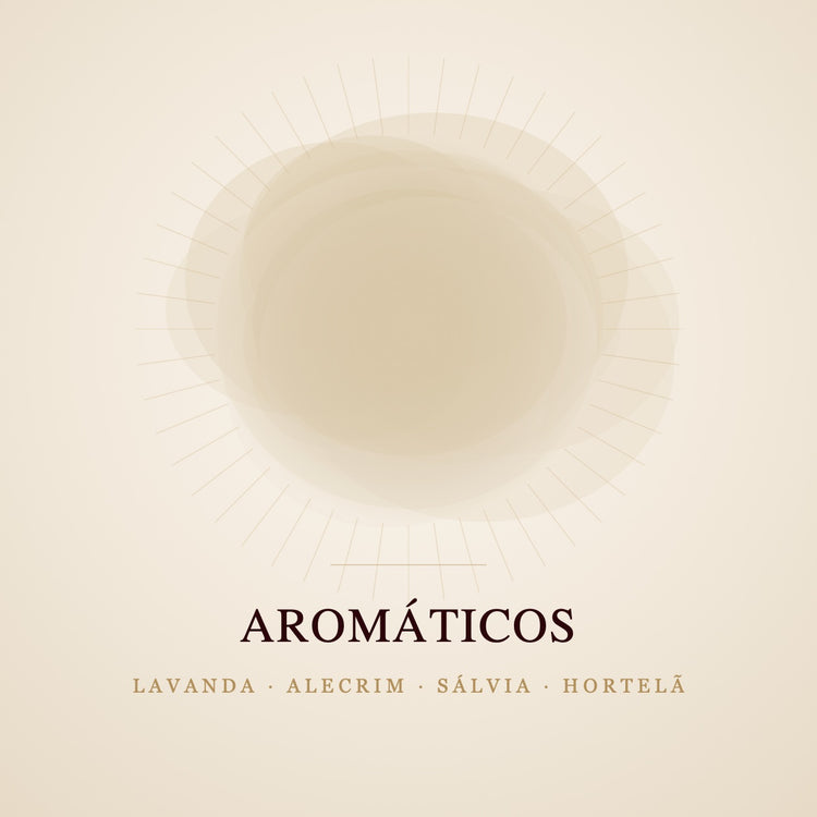 Capa da coleção Aromáticos: tons de erva seca com raios dourados, evocando lavanda, alecrim, sálvia e hortelã.
