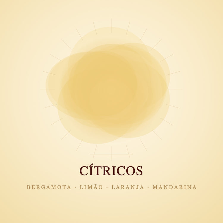 Capa da coleção Cítricos: amarelo-claro luminoso com raios dourados, evocando bergamota, limão, laranja e mandarina.